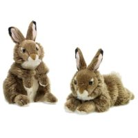 Toys > Soft Toys