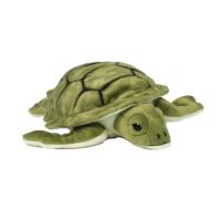 Toys > Soft Toys