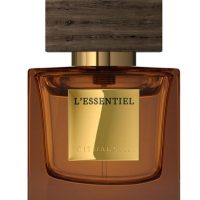 Fragrance > Men Fragrances > Fragrance For Men