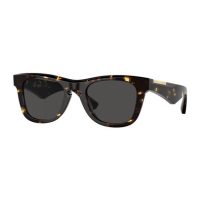 Accessories > Sunglasses > Mens Sunglasses