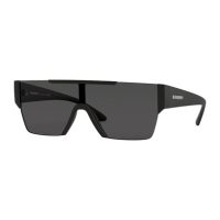 Accessories > Sunglasses > Mens Sunglasses