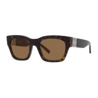 Accessories > Sunglasses > Mens Sunglasses