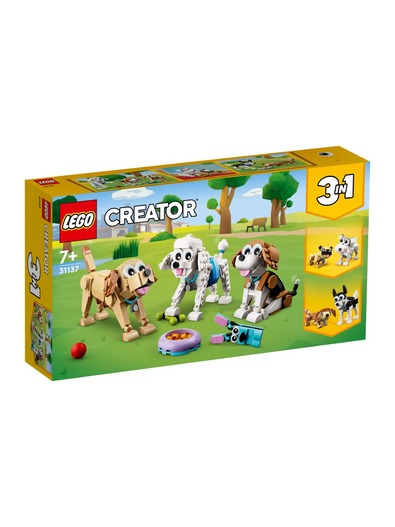 Toys > Building Blocks & Games > Building Blocks