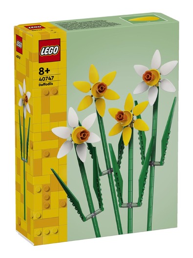 Toys > Building Blocks & Games > Building Blocks