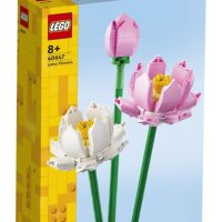 Toys > Building Blocks & Games > Building Blocks