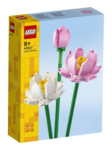 Toys > Building Blocks & Games > Building Blocks