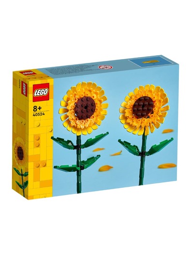 Toys > Building Blocks & Games > Building Blocks