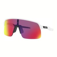 Accessories > Sunglasses > Mens Sunglasses