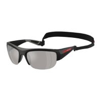 Accessories > Sunglasses > Mens Sunglasses