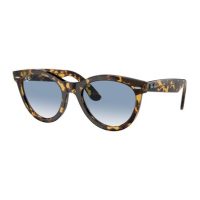 Accessories > Sunglasses > Unisex Sunglasses