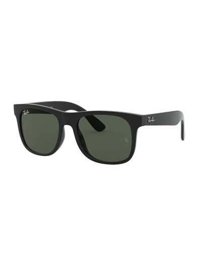 Accessories > Sunglasses > Mens Sunglasses