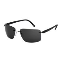 Accessories > Sunglasses > Mens Sunglasses