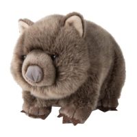 Toys > Soft Toys