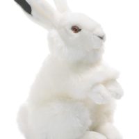 Toys > Soft Toys