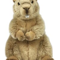 Toys > Soft Toys