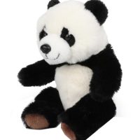 Toys > Soft Toys