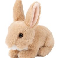 Toys > Soft Toys