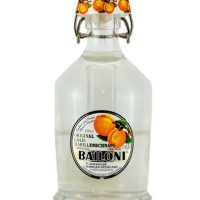 Spirits > Other Spirits > Fruit Brandy & Grappa