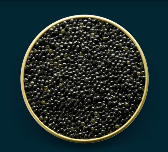 Sevruga Caviar